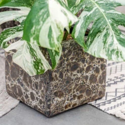 Lava Cube Relic Planter - Black 12 Lava Cube Relic Planter - Black -Plant Supplies Sale Lava Cube Relic Planter Black 1
