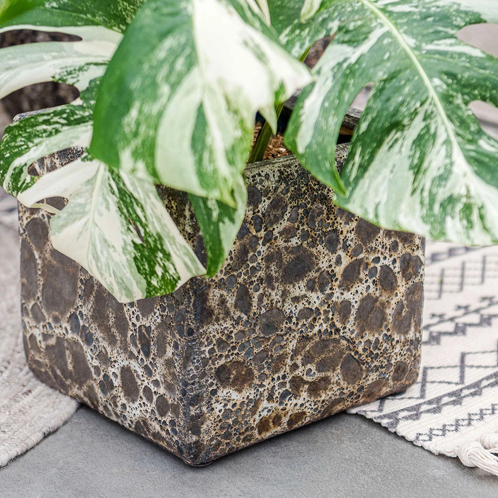 Lava Cube Relic Planter - Black 3 Lava Cube Relic Planter - Black - Image 3