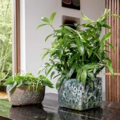 Lava Cube Relic Planter - Jade -Plant Supplies Sale Lava Cube Relic Planter Jade Lifestyle