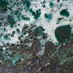 Lava Oval Relic Plant Bowl - Jade -Plant Supplies Sale Lava Jade Colour Swatch 1