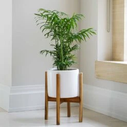 Anzio Plant Pot With Wooden Stand - Stone White -Plant Supplies Sale Lifestyle Anzio Plant Pot with Wooden Stand Stone White 24x24cm