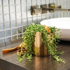 Floro Hanging Plant Pot - Copper -Plant Supplies Sale Lifestyle Floro Hanging Plant Pot 13x13cm 2