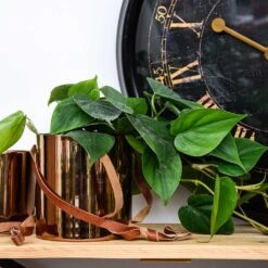 Floro Hanging Plant Pot - Copper -Plant Supplies Sale Lifestyle Floro Hanging Plant Pot Copper 13x13cm