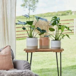 Puro Ripple Plant Pot - White -Plant Supplies Sale Lifestyle Puro Ripple Plant Pot 21x19cm 78129612 f541 46ee b1c8 f828cfeb6eb8