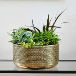 Solis Embossed Plant Bowl - Gold -Plant Supplies Sale Lifestyle Solis Embossed Plant Bowl Gold 30x15cm