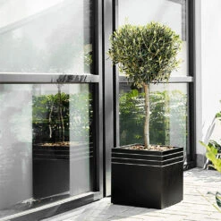 Line-Up Cube Planter - Matt Black -Plant Supplies Sale Line Up Cube Planter Matt Black Lifestyle 2