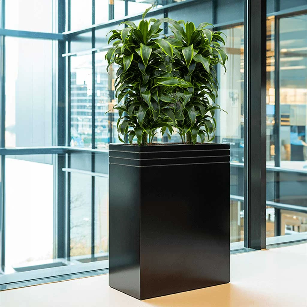 Line-Up Rectangle Planter - Matt Black 2 Line-Up Rectangle Planter - Matt Black - Image 2