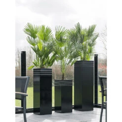 Line-Up Tall Square Planter - Matt Black -Plant Supplies Sale Line Up Tall Square Planter Matt Black Lifestyle