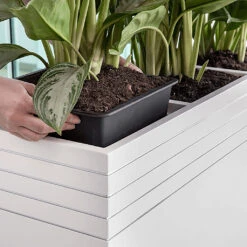 Line-Up Cube Planter - Matt White -Plant Supplies Sale Line Up Tall Square Planter Matt White Lifestyle d7ee9310 8be7 4c44 81be 86c068dc217b