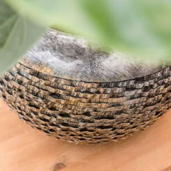 Luxe Lite Layer Globe Planter - Bronze -Plant Supplies Sale Luxe Lite Layer Globe Planter 1