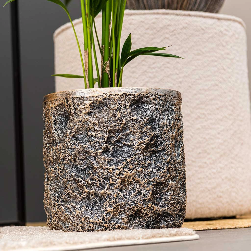 Luxe Lite Moon Cylinder Planter - Bronze 5 Luxe Lite Moon Cylinder Planter - Bronze - Image 5