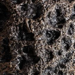 Luxe Lite Moon Partner Planter - Bronze -Plant Supplies Sale Luxe Lite Moon Partner Planter Bronze 33x70cm 5