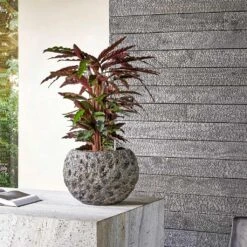 Luxe Lite Moon Globe Planter - Bronze -Plant Supplies Sale Luxe Lite Universe Moon Globe Bronze