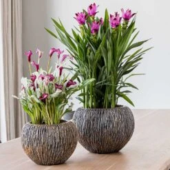 Luxe Lite Waterfall Globe Planter - Bronze -Plant Supplies Sale Luxe Lite Universe Waterfall Globe Bronze Planters Small Houseplants