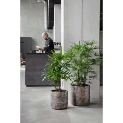 Luxe Lite Wrinkle Cylinder Planter - Bronze 17 Luxe Lite Wrinkle Cylinder Planter - Bronze -Plant Supplies Sale Luxe Lite Wrinkle Cylinder Planter Bronze Lifestyle