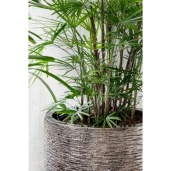 Luxe Lite Wrinkle Cylinder Planter - Bronze 20 Luxe Lite Wrinkle Cylinder Planter - Bronze -Plant Supplies Sale Luxe Lite Wrinkle Cylinder Planter Bronze Lifestyle Close
