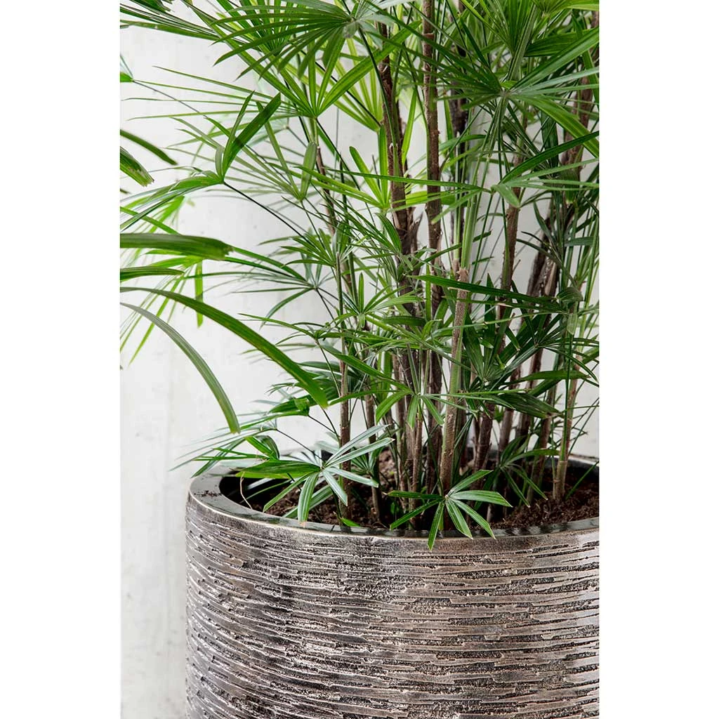 Luxe Lite Wrinkle Cylinder Planter - Bronze 7 Luxe Lite Wrinkle Cylinder Planter - Bronze - Image 7
