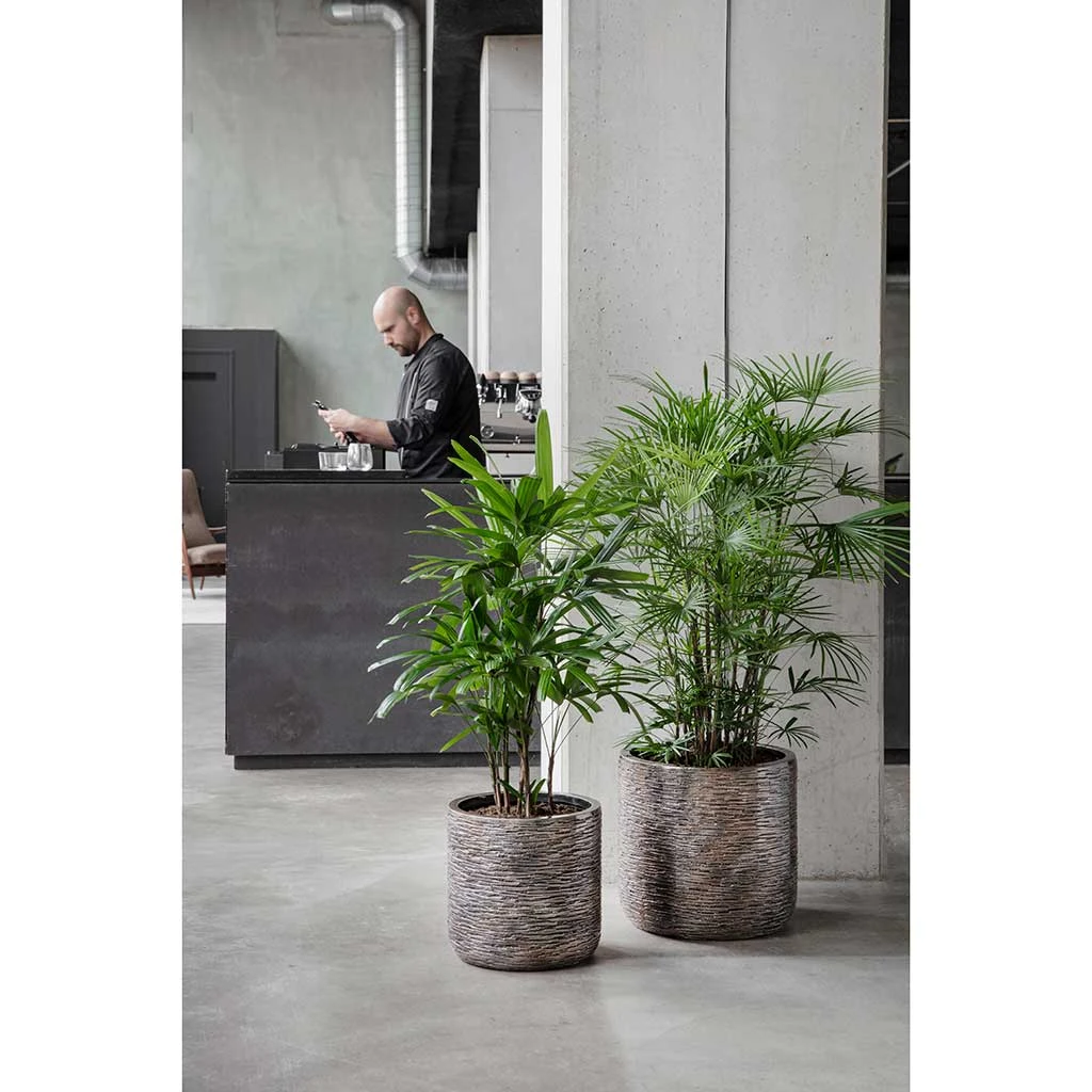 Luxe Lite Wrinkle Cylinder Planter - Bronze 4 Luxe Lite Wrinkle Cylinder Planter - Bronze - Image 4