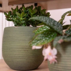 Lydia Plant Pot - Shiny Green -Plant Supplies Sale LydiaPlantPot ShinyGreen 3