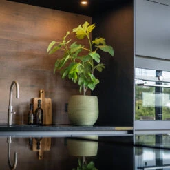 Lydia Plant Pot - Shiny Green -Plant Supplies Sale LydiaPlantPot ShinyGreen 7