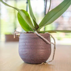 Lydia Plant Pot - Shiny Purple -Plant Supplies Sale LydiaPlantPotShiny Purple 1