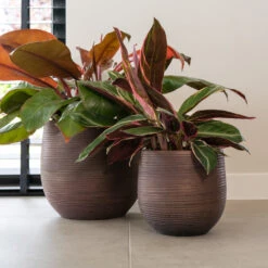 Lydia Plant Pot - Shiny Purple -Plant Supplies Sale LydiaPlantPotShiny Purple 3