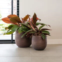 Lydia Plant Pot - Shiny Purple -Plant Supplies Sale LydiaPlantPotShiny Purple 4