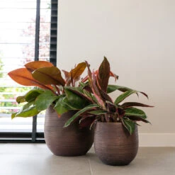 Lydia Plant Pot - Shiny Purple -Plant Supplies Sale LydiaPlantPotShiny Purple 5