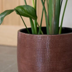 Lykke Plant Pot - Chestnut Blush -Plant Supplies Sale Lykke Chestnut 2