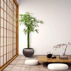 Metallic Globe Plant Pot - Matt Coffee 15 Metallic Globe Plant Pot - Matt Coffee -Plant Supplies Sale Metallic Couple Plant Pot Matt Coffee LS1