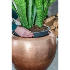 Metallic Couple Plant Pot - Matt Copper -Plant Supplies Sale Metallic Couple Plant Pot Matt Copper Sansevieria Lifestyle Close