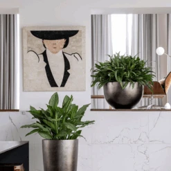 Metallic Plant Bowl - Matt Coffee 11 Metallic Plant Bowl - Matt Coffee -Plant Supplies Sale MetallicPlantBowl MattCoffee 45x27cmPlantPotSizeCheck HortologyMetallicPlantBowl MattCoffee 1