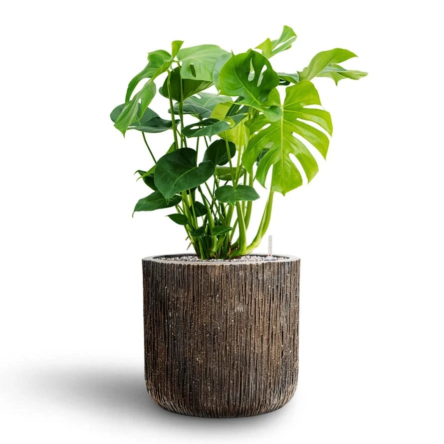 Luxe Lite Waterfall Cylinder Planter - Bronze 4 Luxe Lite Waterfall Cylinder Planter - Bronze - Image 4