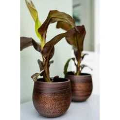 Mya Plant Pot - Shiny Mocha -Plant Supplies Sale Mya Plant Pot Shiny Mocha Houseplants