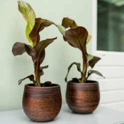 Mya Plant Pot - Shiny Mocha -Plant Supplies Sale Mya Plant Pot Shiny Mocha Lifestyle 04