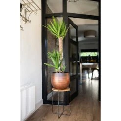 Mya Plant Pot - Shiny Mocha -Plant Supplies Sale Mya Plant Pot Shiny Mocha Yucca Houseplant Plant Stand