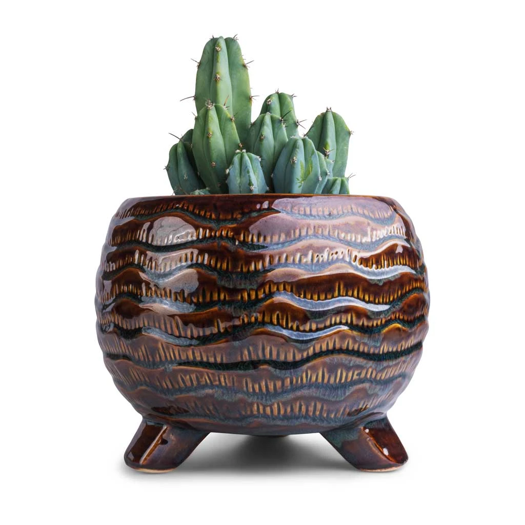 Dewi Plant Pot - Marrakesh 4 Dewi Plant Pot - Marrakesh - Image 4