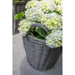 Nanna Wikr Plant Basket - Dark Brown -Plant Supplies Sale Nanna Wicker Plant Basket Dark Brown Outdoor Plants
