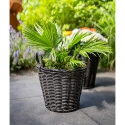 Nanna Wikr Plant Basket - Dark Brown -Plant Supplies Sale Nanna Wicker Plant Basket Dark Brown Palm Tree