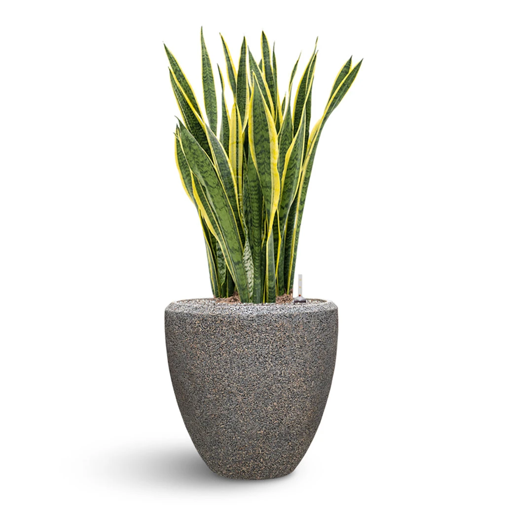 Naturescast Couple Planter - Grey 4 Naturescast Couple Planter - Grey - Image 4