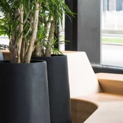 Nax Natural Tall Planter - Black -Plant Supplies Sale Nax Natural Planter Black Office Planters Close Up
