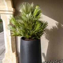 Nax Natural Tall Planter - Black -Plant Supplies Sale Nax Natural Tall Planter Black 1