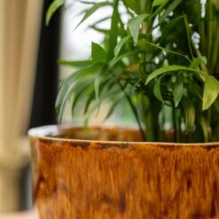 Nolan Plant Pot - Caramel -Plant Supplies Sale Nolan Caramel 3