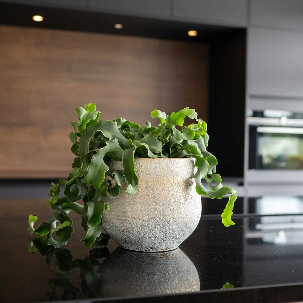 Noor Plant Pot - Metallic Grey 5 Noor Plant Pot - Metallic Grey - Image 5