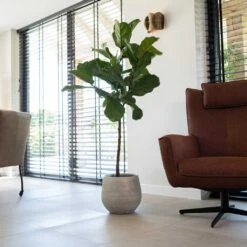 Noor Plant Pot - Metallic Grey 23 Noor Plant Pot - Metallic Grey -Plant Supplies Sale Noor Plant Pot Metallic Grey 4