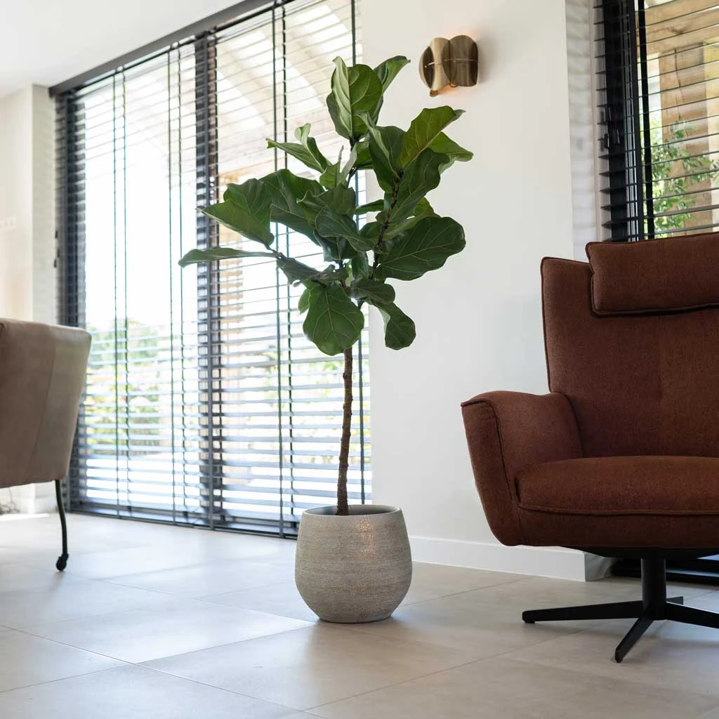 Noor Plant Pot - Metallic Grey 9 Noor Plant Pot - Metallic Grey - Image 9