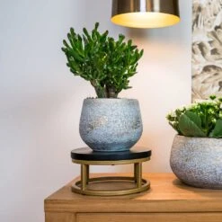 Noor Plant Pot - Metallic Grey 24 Noor Plant Pot - Metallic Grey -Plant Supplies Sale Noor Plant Pot Metallic Grey 6