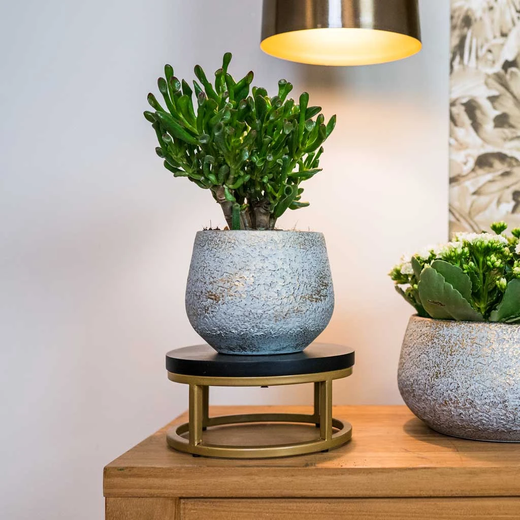 Noor Plant Pot - Metallic Grey 10 Noor Plant Pot - Metallic Grey - Image 10