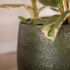Noor Plant Pot - Velvet Green -Plant Supplies Sale Noor Plant Pot Velvet Green 3