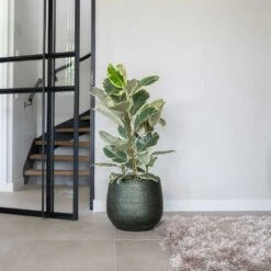 Noor Plant Pot - Velvet Green -Plant Supplies Sale Noor Plant Pot Velvet Green 4